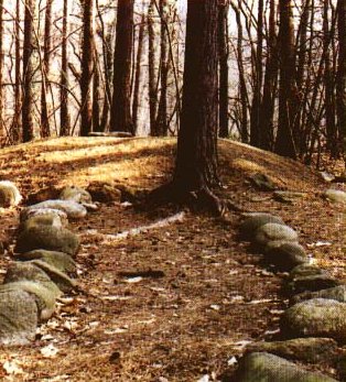 Il sito di Golasecca