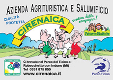 cirenaica